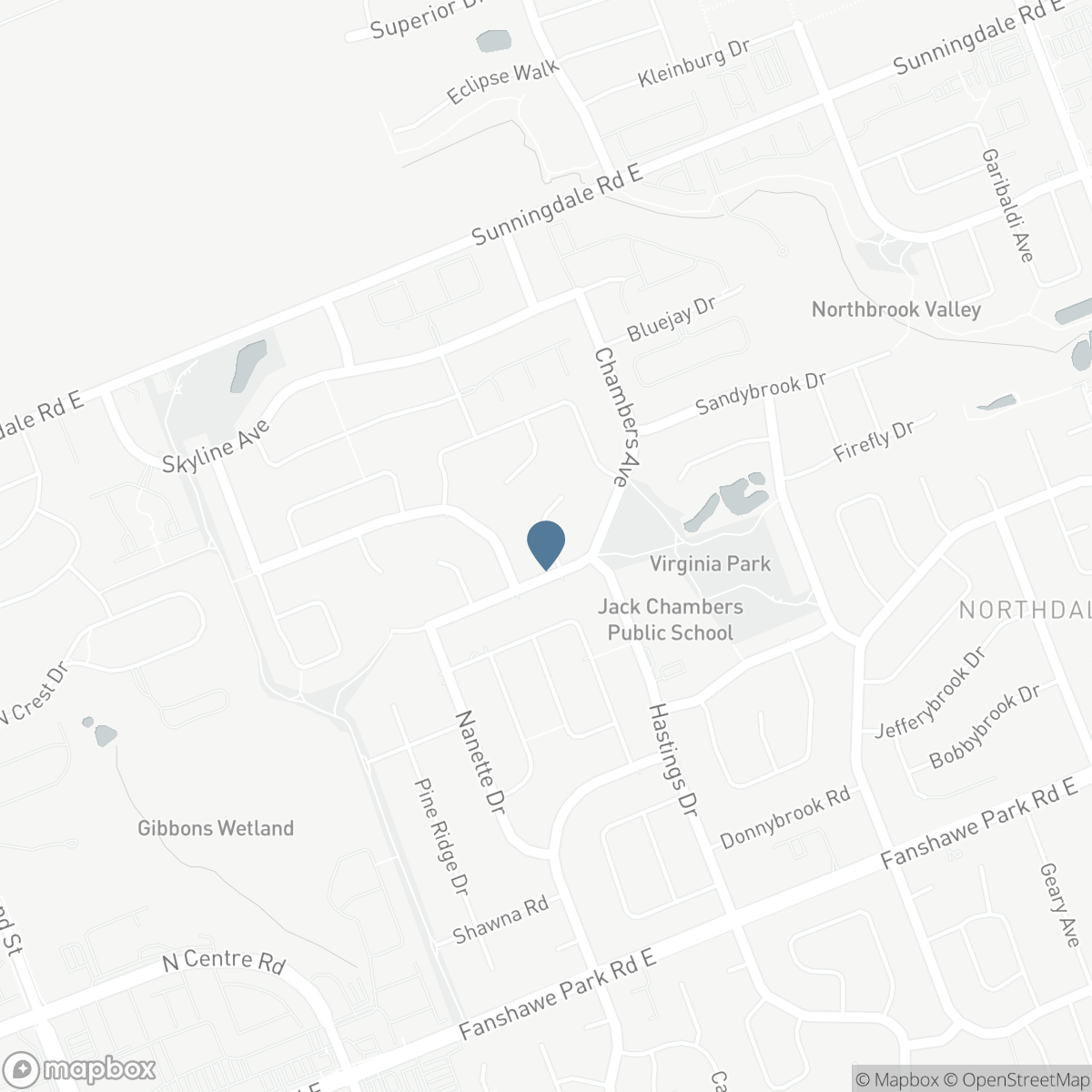 322 CHAMBERS PLACE, London, Ontario N5X 4H4